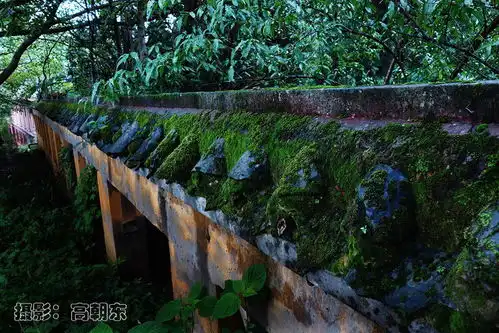 人鬼情未了,彼岸有异花,鬼城彼岸花节来试试,你够不够大胆
