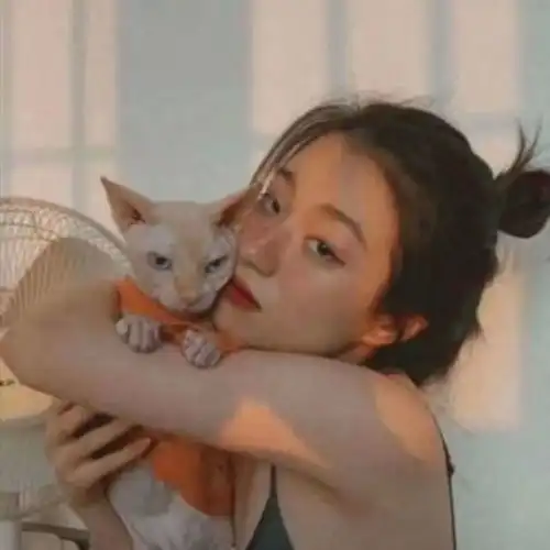 情头我想栖息在有你的地方
