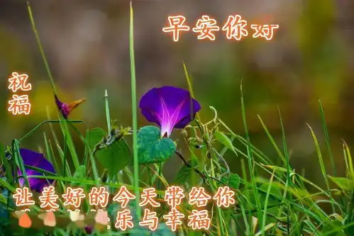微信最漂亮的早安问候祝福短信2020最新出的早安祝福说说
