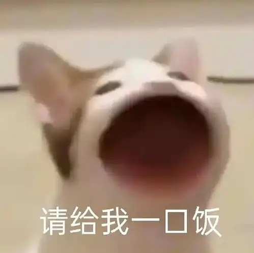 1月7日viko,听墙角捡垃圾记录
