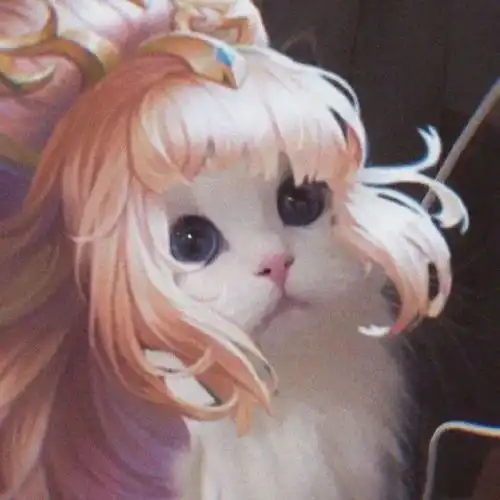 王者荣耀猫头第4期女神团喵咪接头头像,这么可爱的猫从哪里来的
