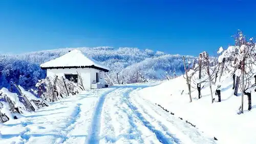 钦大武雪飘的日子
