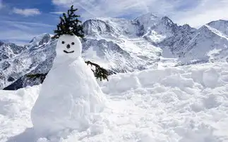 冬天雪景冰川雪人雪景设计素材23图片下载素材其他
