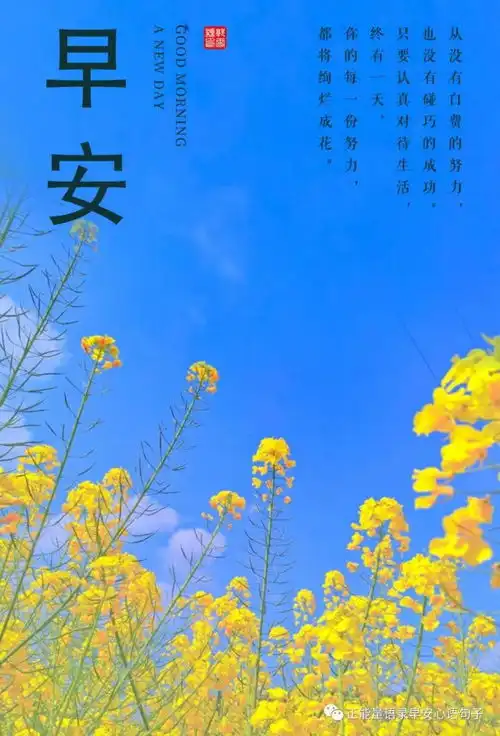 12月30日早安心语微信早安问候语图片,早安正能量语录励志句子

