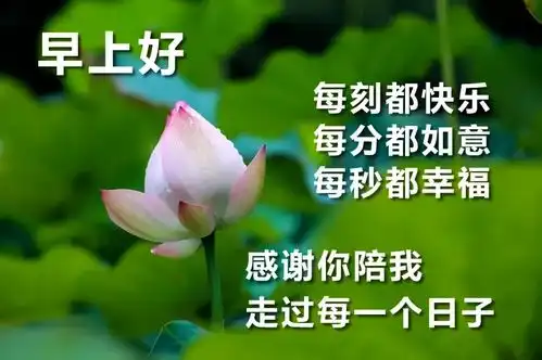 最新早安微信问候祝福语图片给朋友最温暖的祝福语
