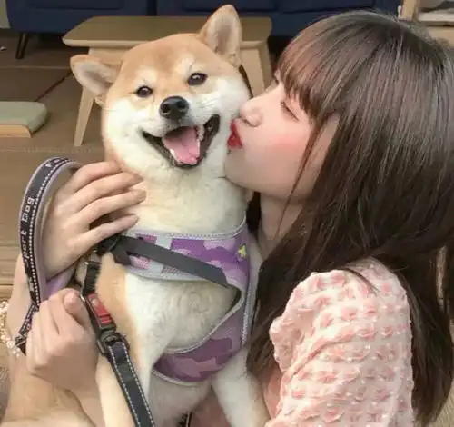 臭宝们,快来换微信头像啦
