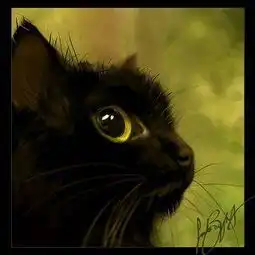 急求,小黑猫卡通头像
