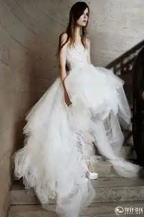 王薇薇verawang2015春夏系列婚纱spring2015bridalcollection
