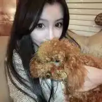 找个情侣头像必须是狗狗
