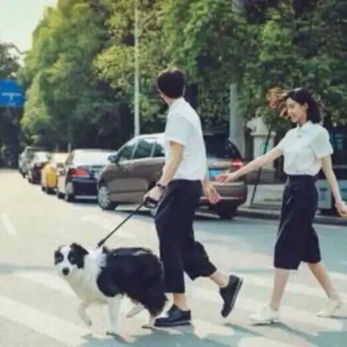 男人能够主动服软,多半是女人做好了这些事儿
