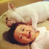 斗牛犬和萌小孩情侣头像微信头像图片大全
