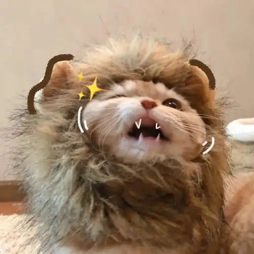 情侣头像你为什么想要谈恋爱,难道火锅它不香吗
