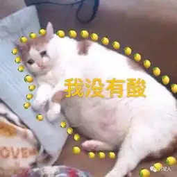 婚礼上最会卖骚的伴郎团,女装假发性感舞玩的666
