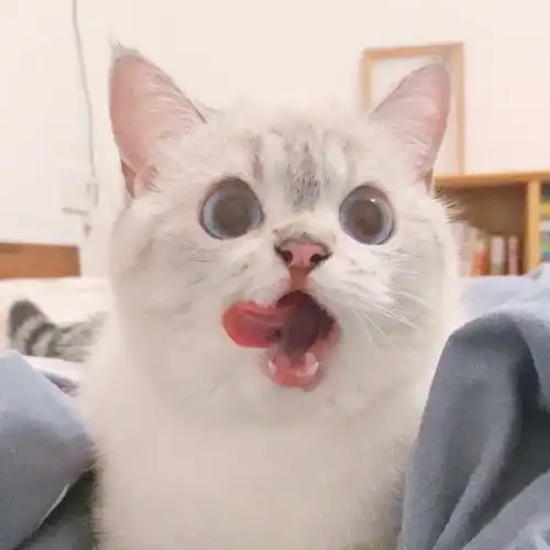 温柔到骨子里的文案
