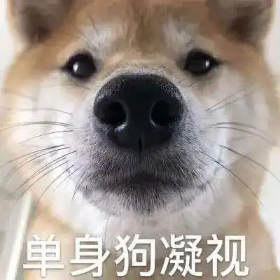 学狗叫监禁发裸照女生被骚扰53次,通话让我头皮发麻...
