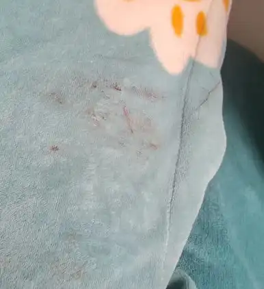 温州一老师打学生家长怒了
