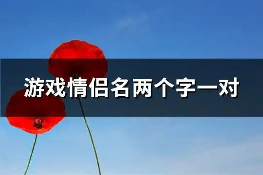 游戏情侣名两个字一对270个
