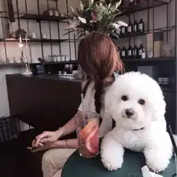 给狗喷香水真的好吗看完吓得我扔掉了手里的香奈儿...
