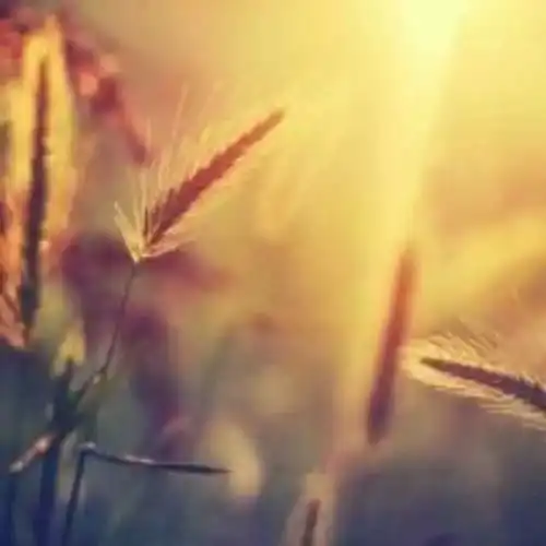 住在后海边,这儿有胡同里的精致复古大开间
