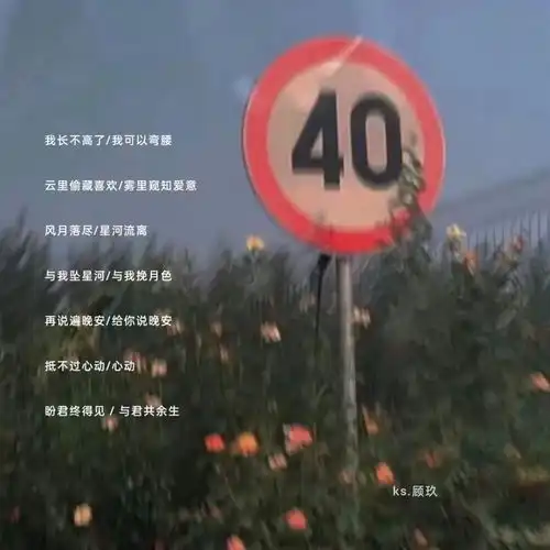 偷偷藏不住爱意的小众情侣网名
