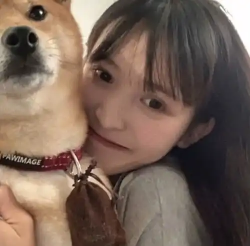 对象不是人系列情头
