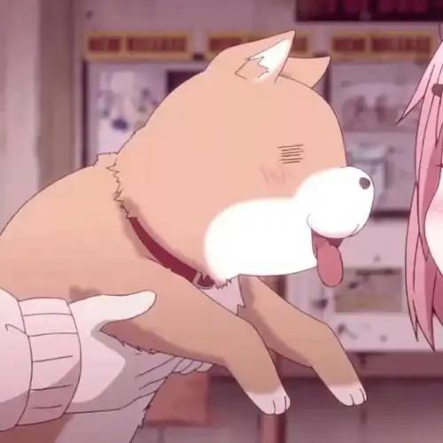 精美情头cpdd
