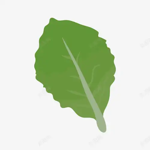 绿色的菜叶矢量图设计图片免费下载页面网页平面电商创意素材素菜素材
