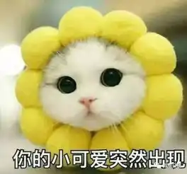 清明小长假,你准备好了吗
