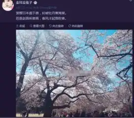 网友曝马蓉疑似有新恋情神秘男子晒马蓉背影照
