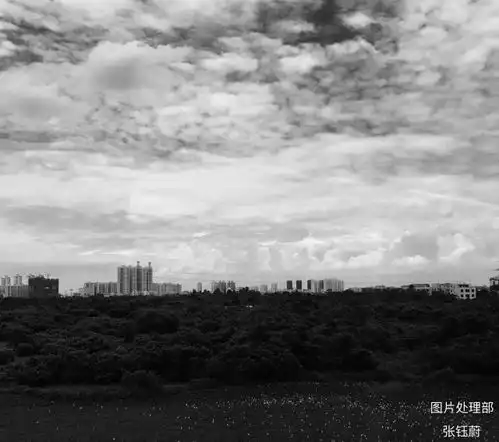 视觉水产vol.3云
