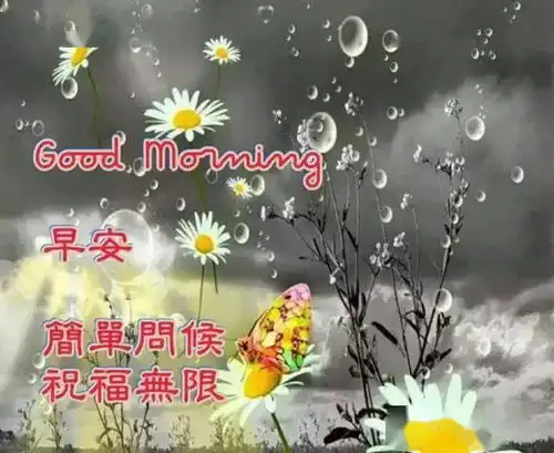 2020微信问候大家早上好动图表情,清晨问候祝福语温馨语录
