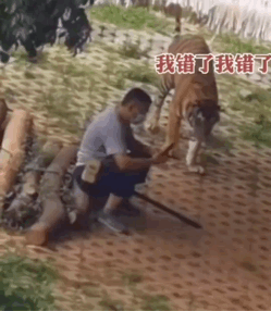 女生头像过于暴露被亲妈连环骂网友这合适吗
