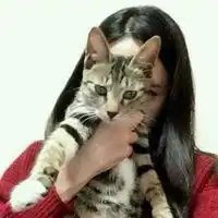 外国人抱猫头像图片微信头像图片大全
