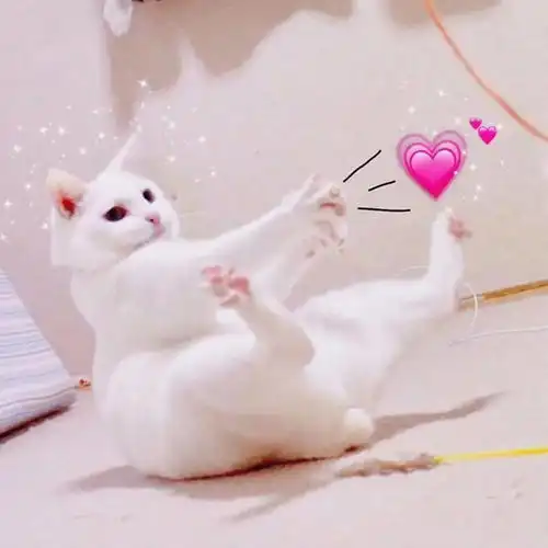 百看不厌的微信头像
