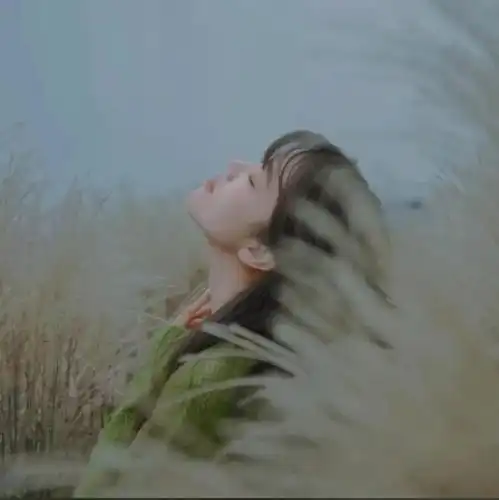 高级感女生单人头像
