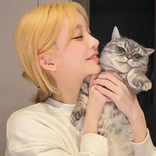 今日头像丨迎接你的圣诞好运吧
