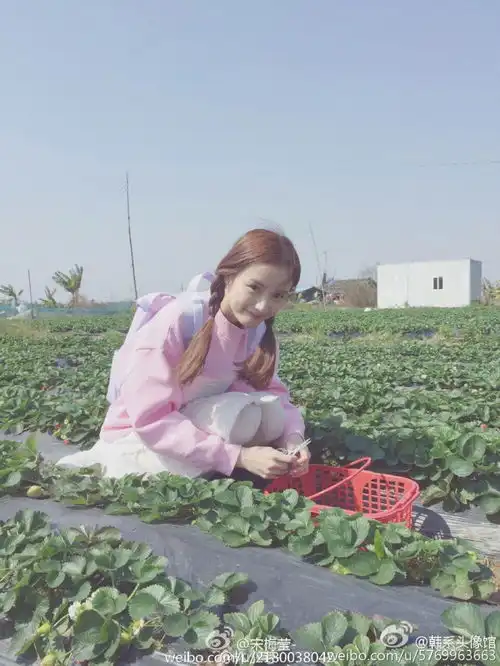 女头女生头像韩国头像闺蜜头像堆糖,美图壁纸兴趣社区
