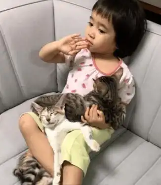 小女孩抱猫一起听英文故事,猫满脸呆滞听不懂
