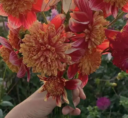 恋爱轰轰烈烈,却不想结婚的四个星座,他们对婚姻有不知名的恐惧
