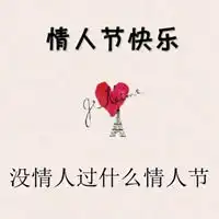 没有情人的情人节配图微信头像图片大全
