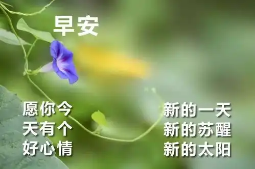 清晨问候早安图片祝福问候语,发朋友圈早安的句子带动态图片
