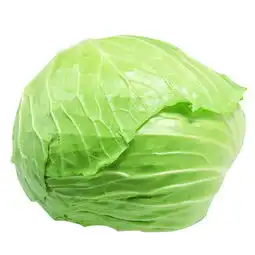 新鲜蔬菜单品图片
