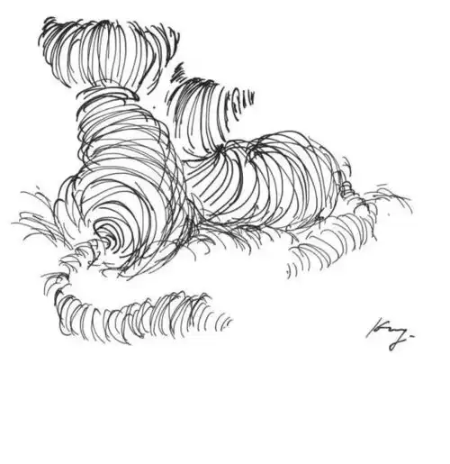 draw丨画狗画猫,画了好多线
