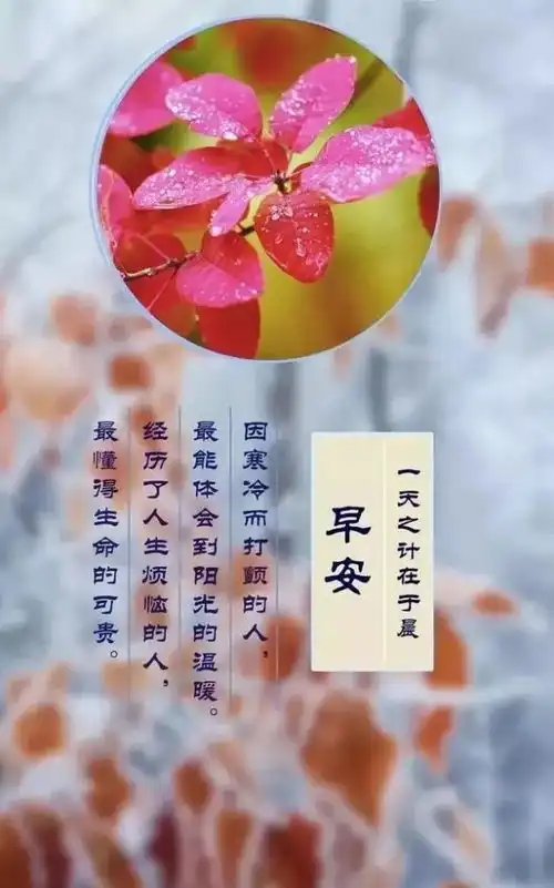 2020微信早安励志经典说说语句,句句振奋人心
