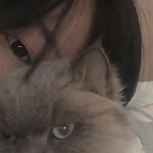 不明显情头不让爸妈发现的情侣头像
