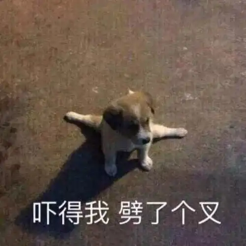 高速路上货车起火,4000只活鹅变烧鹅......
