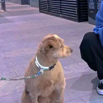 qq情侣一男一女头像,不要拿我跟任何人比
