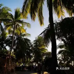电话,地址,价格,营业时间三亚周边游
