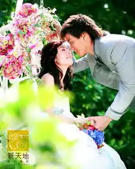 闪烁群星tvb2008篱笆o震撼大联盟o珠光宝气终于开播啦
