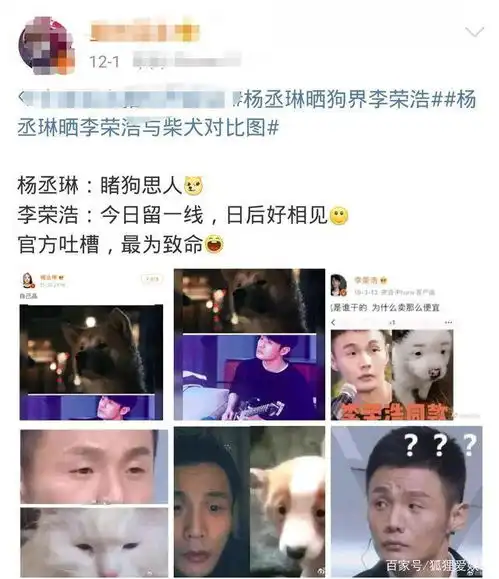 杨丞琳晒李荣浩与狗,孙怡董子健互怼丑照,明星夫妻另类秀恩爱
